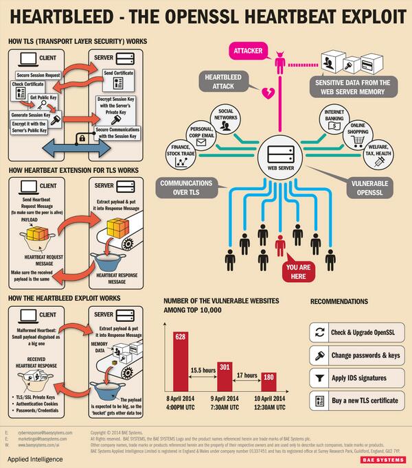 Heartbleed infographic